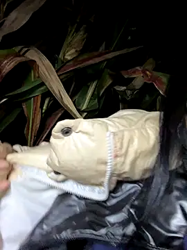 Snapshot of qqxgjj chatting on 09/25/25, 02:54 qqxgjj online show from 09/25/25, 02:54