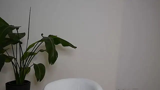 MayTease online show from 09/11/25, 07:03