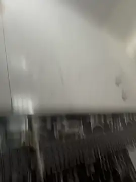 Snapshot of NoddingScorpion chatting on 03/08/26, 10:30 NoddingScorpion online show from 03/08/26, 10:30