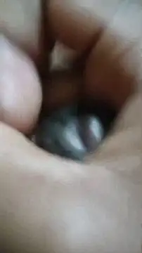 Vizgeboys online show from 12/02/25, 06:03