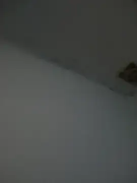 Kriffert online show from 11/01/25, 11:51