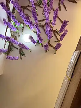 Snapshot of burbuja02 chatting on 04/04/26, 02:36 burbuja02 online show from 04/04/26, 02:36