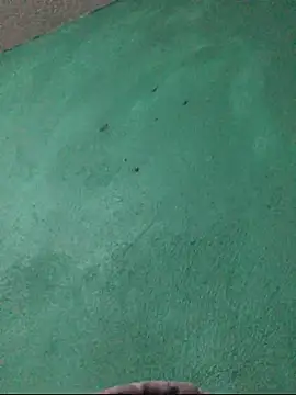 carlo20n online show from 10/15/25, 11:49