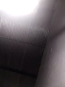 lucerocutte online show from 10/12/25, 06:01