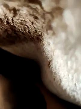 its Surya BBC online show from 01/16/26, 05:06