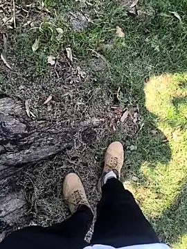 rajdehli online show from 04/03/26, 06:00