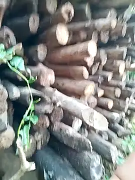 July-Asian online show from 04/16/26, 09:54