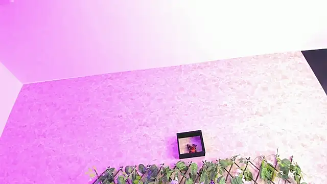 ImEmily444 online show from 10/04/25, 07:50