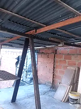 hoteder online show from 11/25/25, 11:54