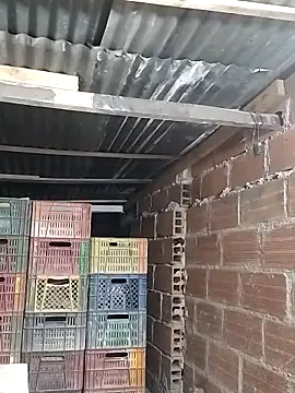 hoteder online show from 02/05/26, 10:09