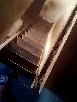 lucho2328 online show from 11/08/25, 12:55