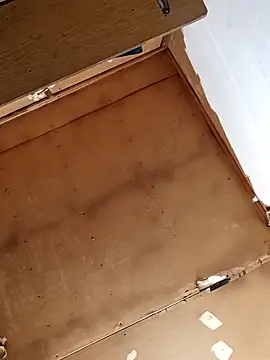 lucho2328 online show from 01/13/26, 08:03