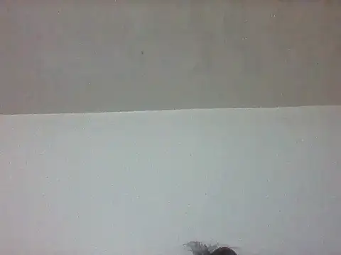 pretty349 online show from 04/20/26, 01:14