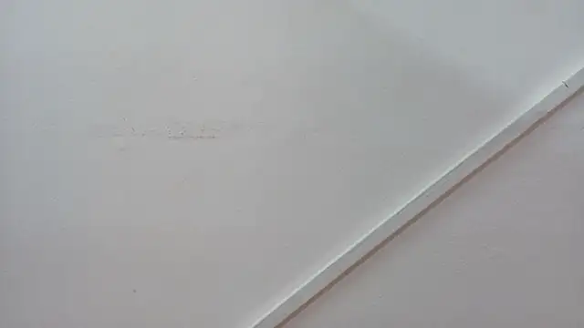 Lizbeth Rouse online show from 10/26/25, 12:55