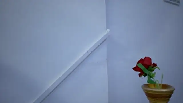 Lizbeth Rouse online show from 11/15/25, 11:29