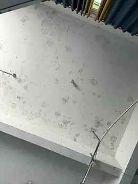 coco-o online show from 09/26/25, 03:10