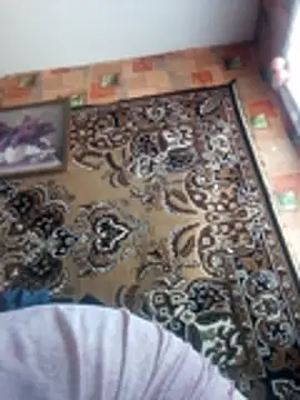 Romashka33011 online show from 03/02/26, 08:43