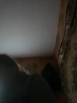 Romashka33011 online show from 03/31/26, 08:15