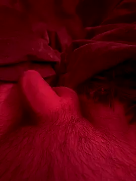 couplefuck   online show from 12/16/25, 07:57