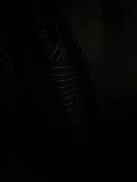 P E R V I T I N online show from 03/31/26, 11:05