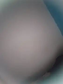 Snapshot of Ezecalfran chatting on 09/24/25, 06:00 Ezecalfran online show from 09/24/25, 06:00