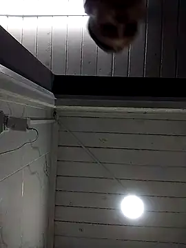 Asdfaaas online show from 10/19/25, 12:22