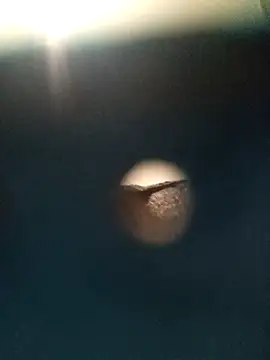 Sonya51561 online show from 11/26/25, 02:51