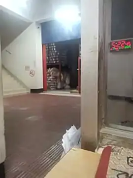 Snapshot of sk24d chatting on 11/17/25, 11:27 sk24d online show from 11/17/25, 11:27