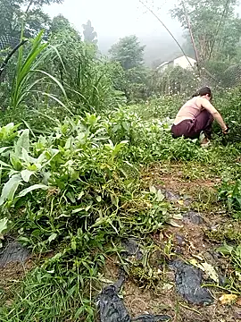 linda bae00 online show from 05/07/26, 01:11