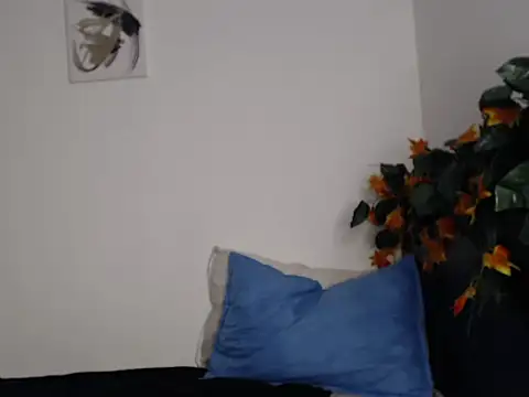 Snapshot of __abrill__ chatting on 10/17/25, 02:37   abrill   online show from 10/17/25, 02:37