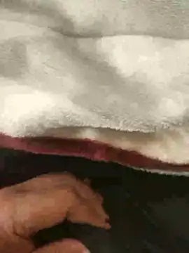 mM0140 online show from 01/13/26, 08:30