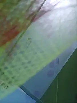 Snapshot of Apkisona8 chatting on 09/24/25, 04:21 Apkisona8 online show from 09/24/25, 04:21