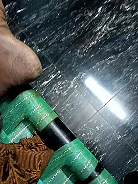 dolphiinn online show from 11/04/25, 05:34