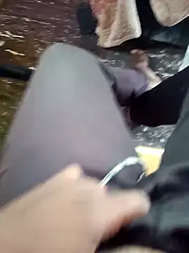 dolphiinn online show from 11/27/25, 04:36