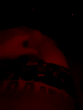 el pija chica online show from 09/29/25, 03:44