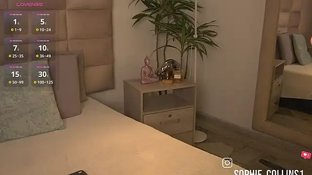 Snapshot of SophieCollins_1 chatting on 07/02/26, 12:00 SophieCollins 1 online show from 07/02/26, 12:00