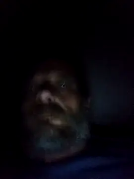 Potch8duim online show from 10/06/25, 07:55