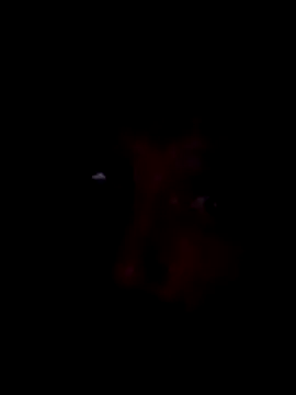 Potch8duim online show from 11/02/25, 07:49