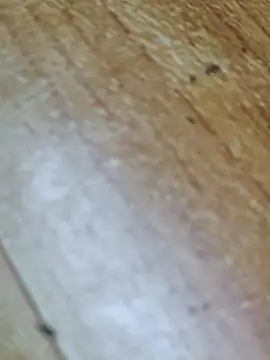 Markroco696 online show from 10/12/25, 02:32