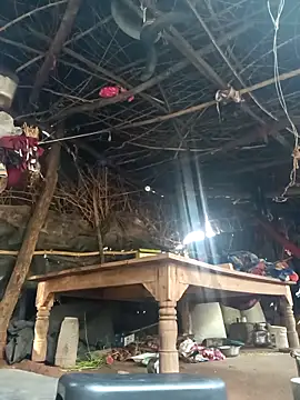 cute diya 12 online show from 11/11/25, 03:28