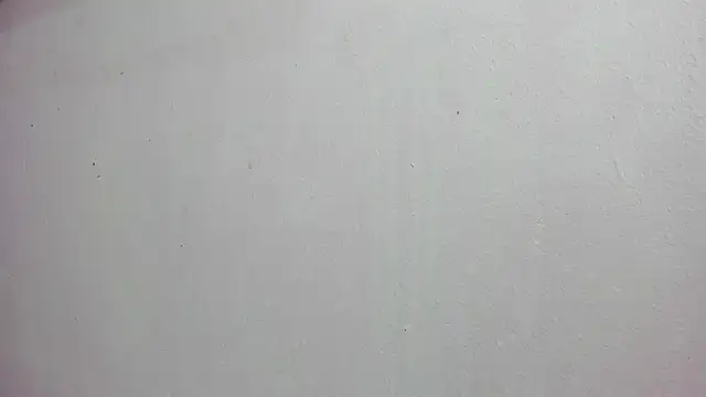 scarlett646 online show from 11/14/25, 03:05