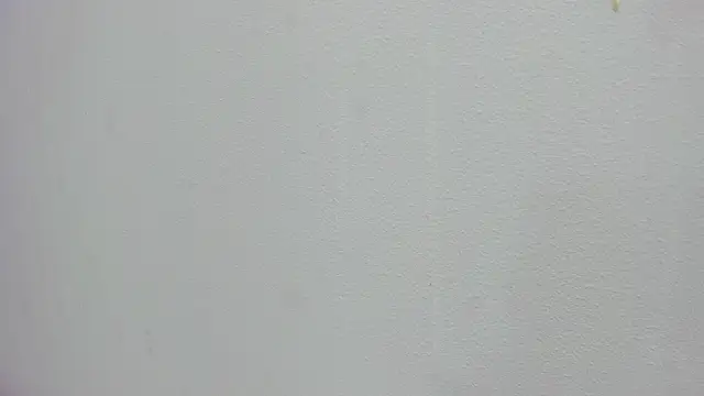 scarlett646 online show from 11/15/25, 03:04