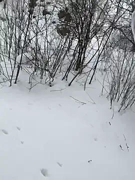 desiredude9 online show from 01/06/26, 08:18