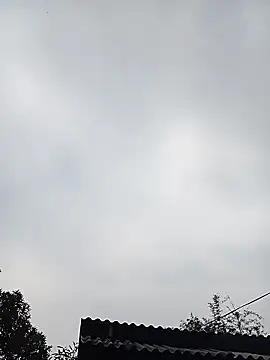 Ngocmi909 online show from 01/11/26, 12:48