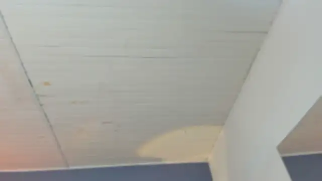 BellaBoobs  online show from 10/03/25, 07:44