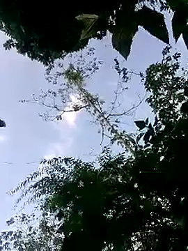 Snapshot of susi-love00 chatting on 10/18/25, 02:25 susi-love00 online show from 10/18/25, 02:25