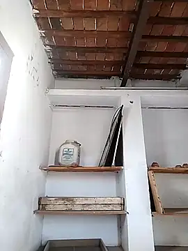 PunjabiSardarBull online show from 04/21/26, 03:02