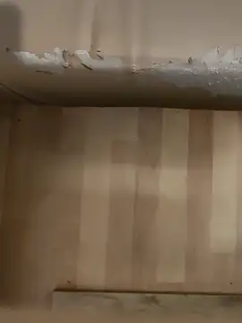 Snapshot of DarkNova9 chatting on 10/17/25, 03:42 DarkNova9 online show from 10/17/25, 03:42