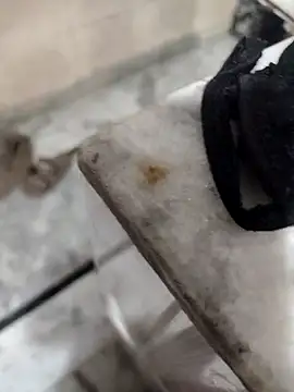 meenu bhabhi547 online show from 10/09/25, 01:58