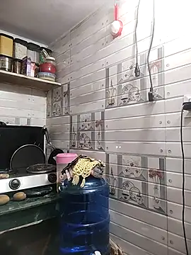 meenu bhabhi547 online show from 04/15/26, 01:56